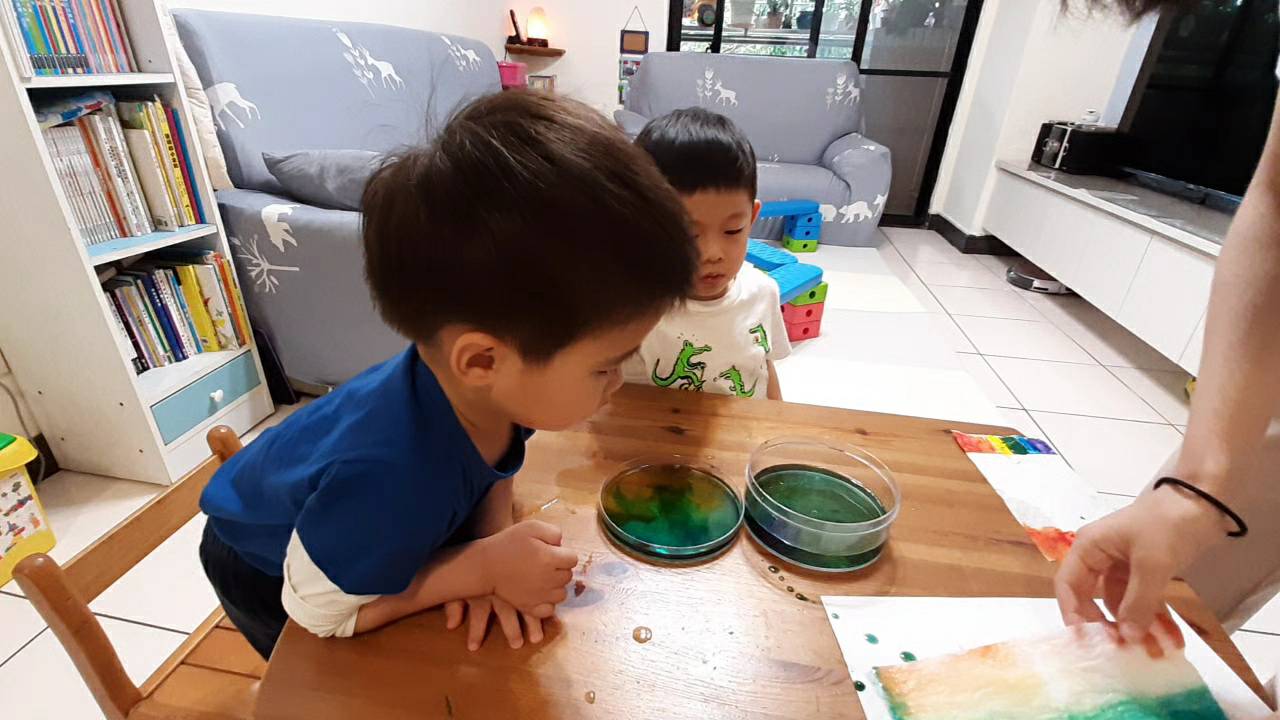 若孩子想保存彩虹橋,可以將紙巾攤平在白紙上晾乾